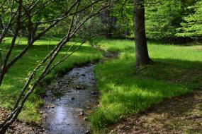small stream at Hungry Mother State park