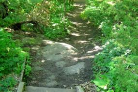 Wooden stairs down the trail