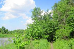 Trail along the grassy banks of the creek