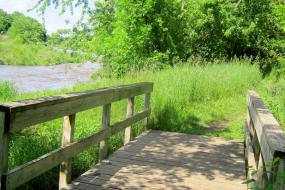 Wooden bridge next to creek
