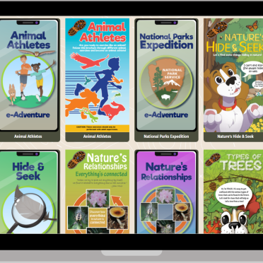 Selection of both virtual and physical brochures when registering an adventure