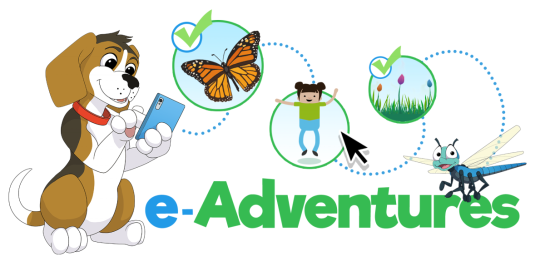 e-Adventures Banner