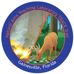 Natural Area Teaching Lab sticker, featuring a deer bending down and eating foliage