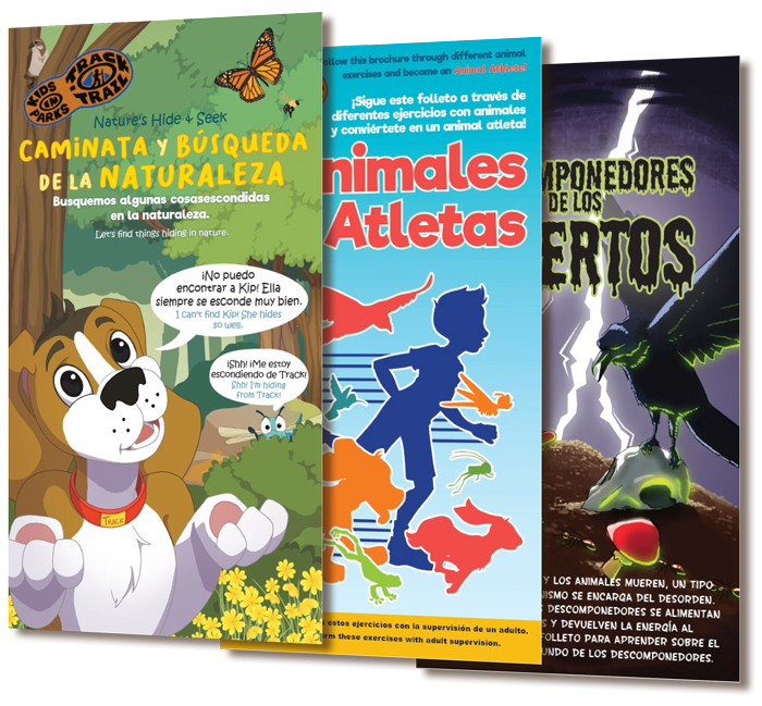 Spanish Brochures