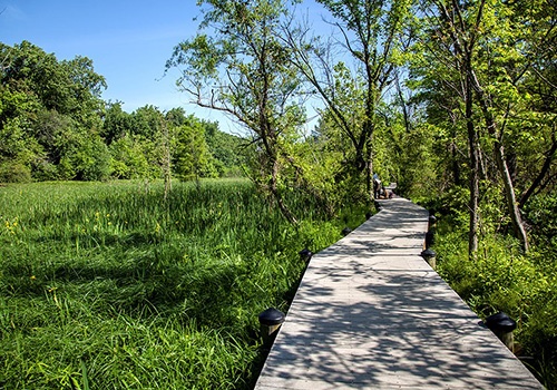 GW Parkway Boardwalk