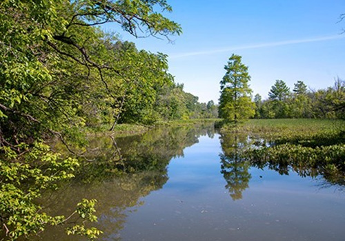 GW Parkway Marsh