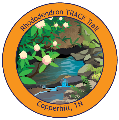 Rhododendron Trail Sticker