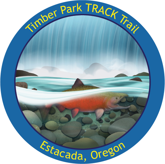 Timber Park Sticker of a salmon under the falls