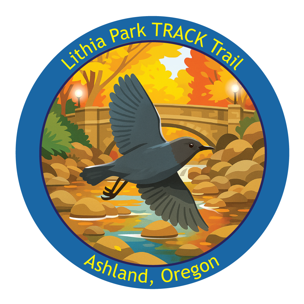 Lithia Park Sticker