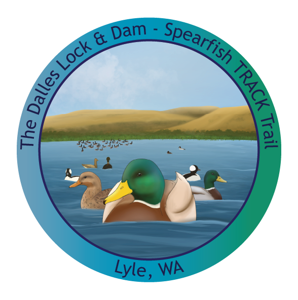 Spearfish Lake Sticker displaying multiple waterfowl in the lake