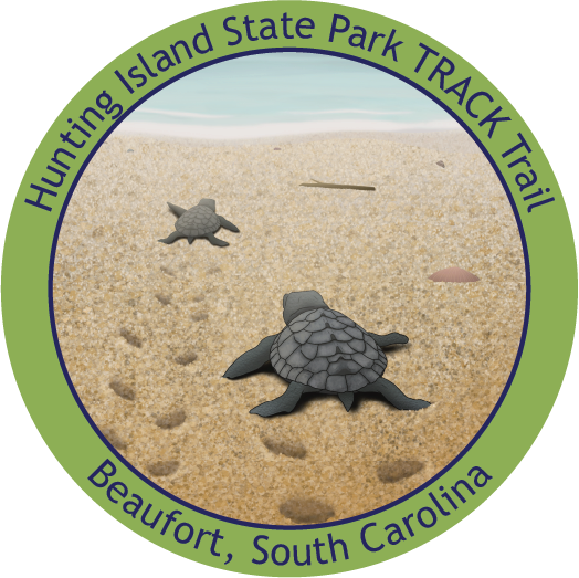 Hunting Island State Park Sticker with turtle and beach