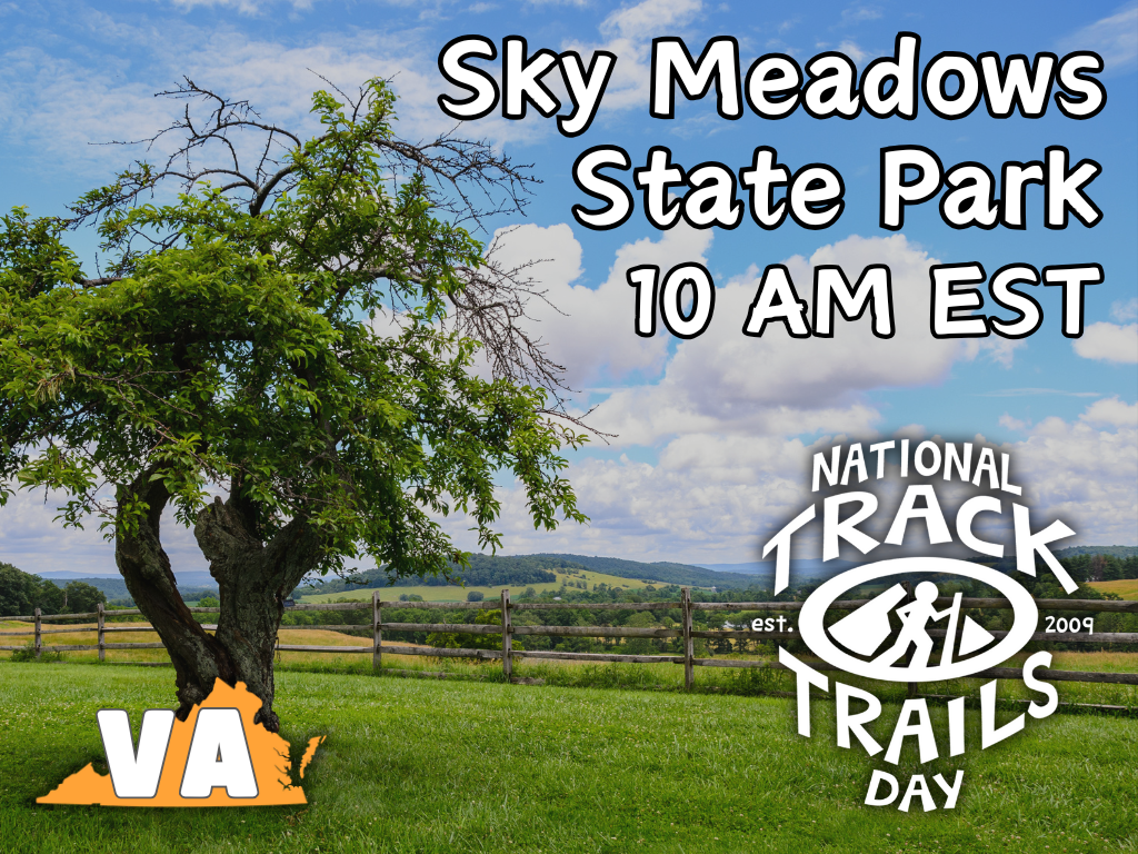 Graphic of the park's NTTD Event