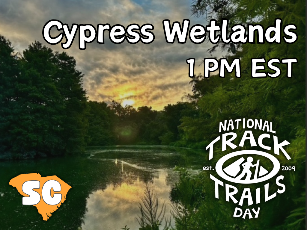 cypress wetlands opening event graphic