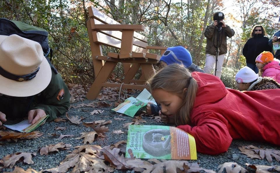 Participants working on a brochure laying on the trail ground
