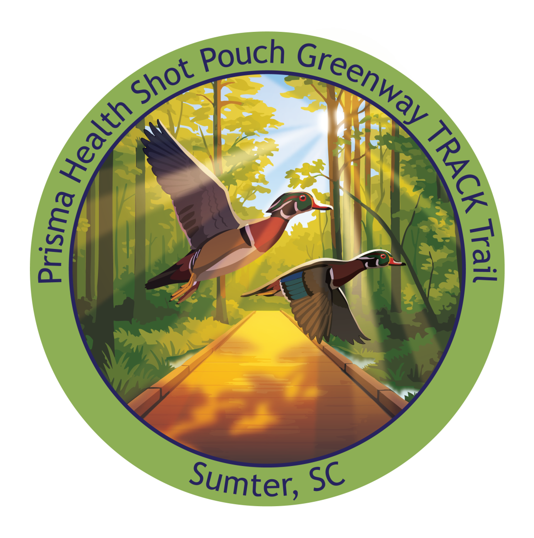 Boardwalk with wood ducks and light coming through the trees