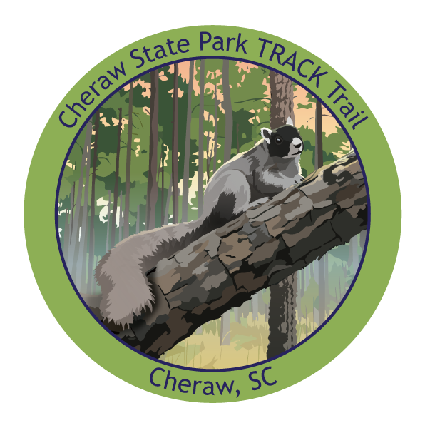 Fox squirrel on branch sticker