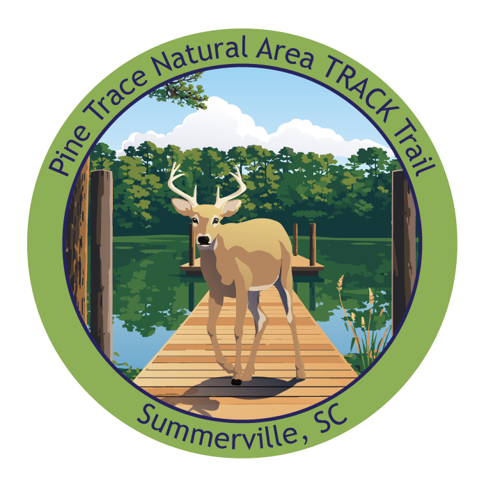 Deer on fishing pier at Pine Trace Park