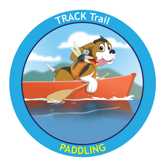 Paddling Sticker - Track in Canoe