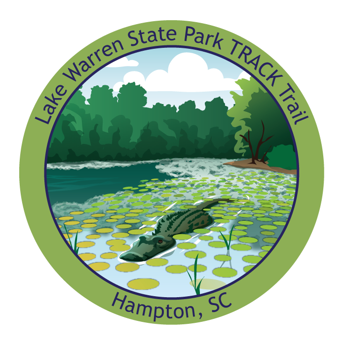 Alligator in pond with lily pads