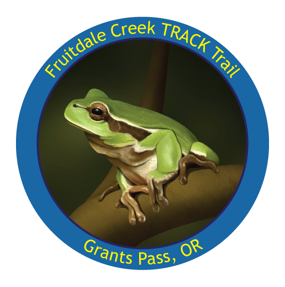 Sticker features a close up of a green treefrog