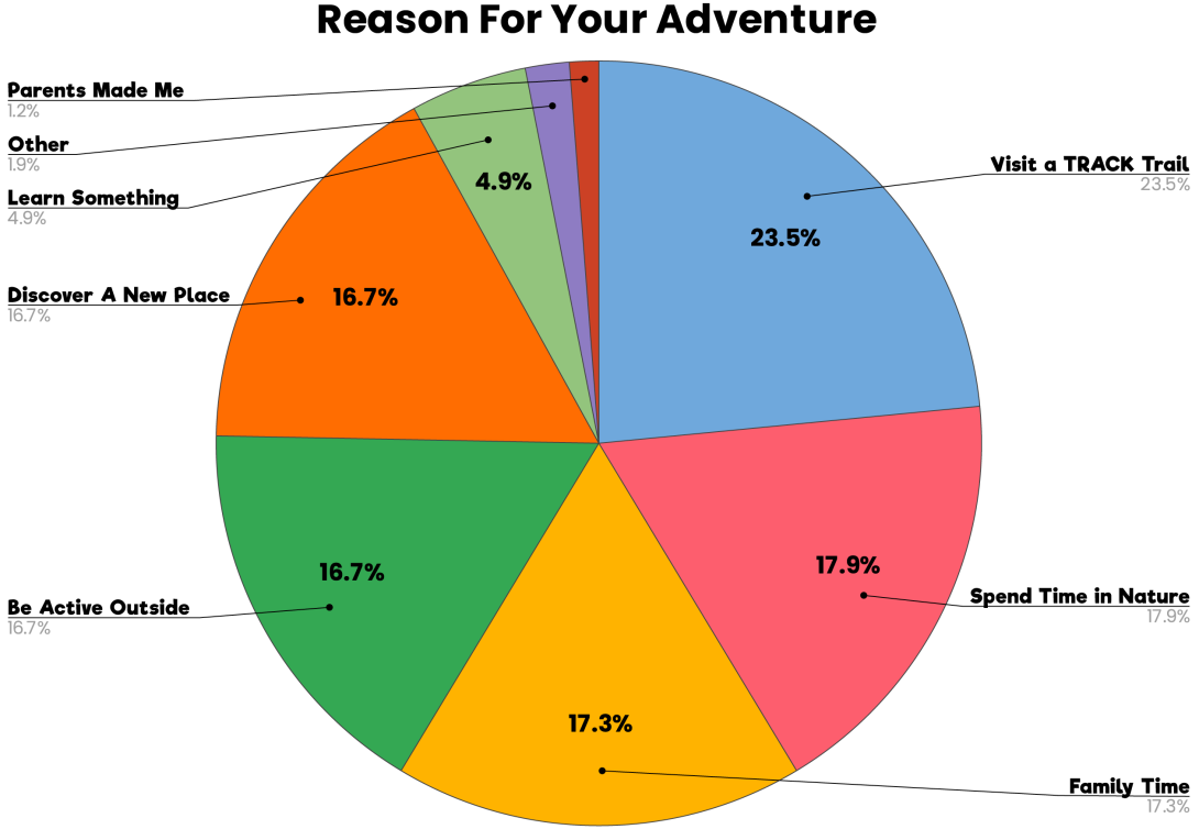 A Pie Chart of the Different Reasons for Adventures during the NTTD Weekend