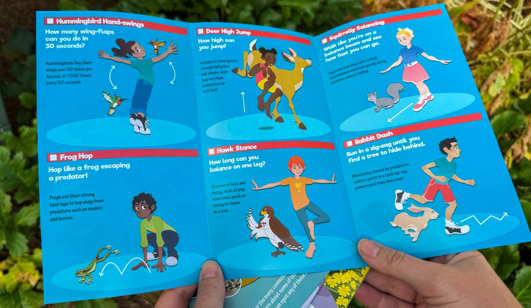 Inside of the Animal Athletes brochure